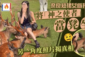 美女游客奈良坐鹿拍照？中日网友狠批没素质，一个细节揭露真相！图片