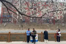 今年解锁夜赏模式，北京这片山桃花开花最早——图片