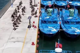 班公湖冲突4年后，西海舰队制裁亮相，吨位最小“海军”俘虏最多图片