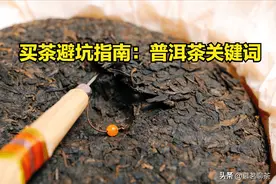 一篇文章让你成为普洱茶行家，关于普洱茶的100个核心词汇（五）图片