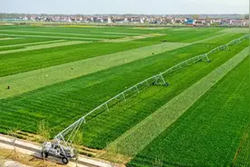去年巴基斯坦粮食总产量4500万吨，河南的粮食总产量有多少？图片
