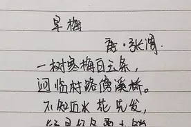 抄书打卡第2天—飞花令诗词·早梅/江梅图片