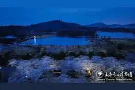 辰山植物园部分区域将延长开放时间→图片
