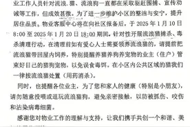 重庆一小区发布通知称要捕杀流浪猫图片