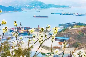 400余份建议守护一江清水东流图片