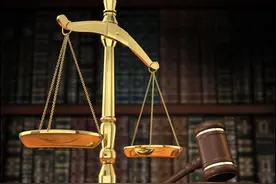 串通投标罪的构罪情形、追诉标准和公司的合规不起诉出罪）图片