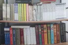 崩溃了，定制书柜书架彻底翻车图片