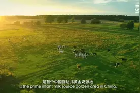 飞鹤奶粉为宝宝送来爱与营养图片