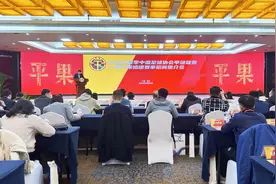 广西平果积极打造中甲“金牌球市” 新赛季球场将扩容至3万人图片