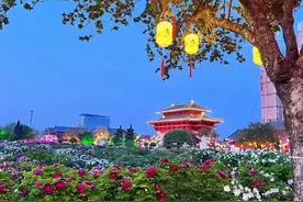 去山东菏泽玩了一圈回来，跟大家说点真心话，句句都是肺腑之言图片