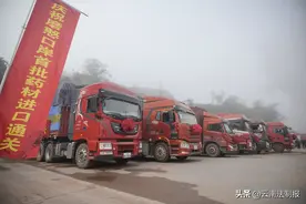 磨憨药材进口边境口岸启用 首批药材通关图片