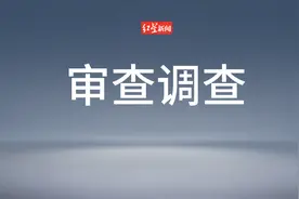 重庆两名干部接受审查调查图片