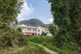 李群：在海龙镇失眠图片