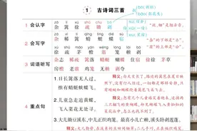 四年级语文下册《状元语文笔记》背记清单，替孩子收藏打印图片