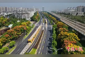 【又到赏花季】栾树花开 惊艳了常德秋天图片