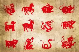 DeepSeek总结：2025年十二生肖综合运势排行 你的属相排第几呢？图片