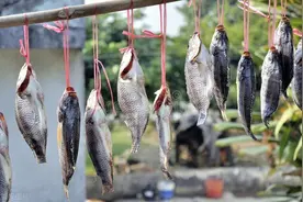吃咸鱼，是真的“翻身”吗？图片