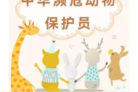 我外孙女小学开展“我是中华濒危动物保护员”项目化学习活动，好图片