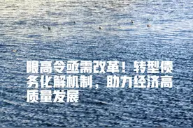 限高令亟需改革！转型债务化解机制，助力经济高质量发展图片