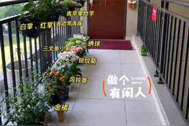 广东一女子在“公共楼道”里养花，邻居的反应，很多人都猜不到！图片