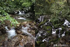瓦屋山徒步攻略（各景点详解版）图片