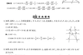 相似三角形的判定培优专题练习图片