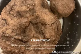 新鲜茯苓如何处理呢！图片