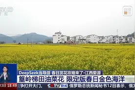 DeepSeek当导游，春日赏花攻略来了图片