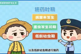 豇豆病虫害防控干货！豆角类蔬菜病如何防治？看完就明白了图片