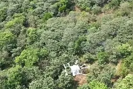 顺丰无人机助力苏州枇杷从田间到舌尖再次提速，半日鲜达江浙沪！图片