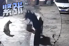 笑麻了，女子喝着水下台阶摔跤 狗子看懵，我却笑死在网友评论区里图片