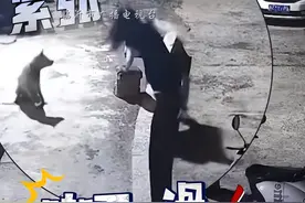 笑麻了，女子喝着水下台阶摔跤 狗子看懵，我却笑死在网友评论区里图片