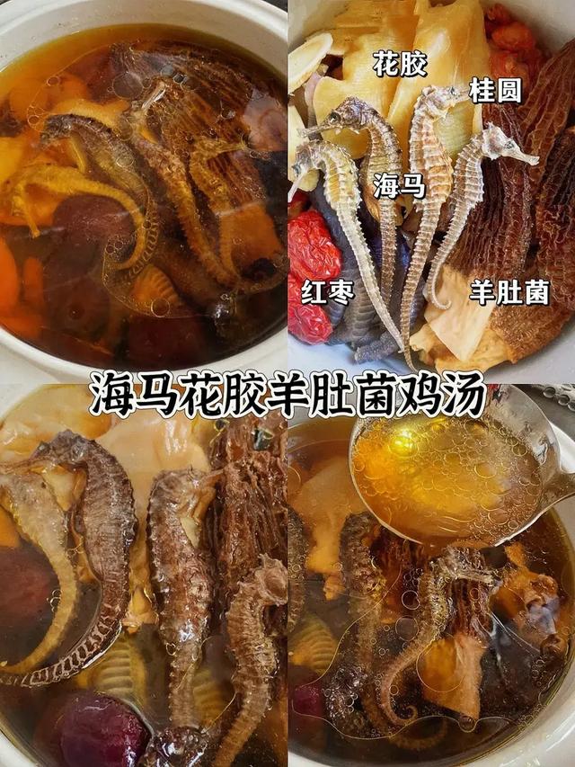 海马花胶羊肚菌做法 2026年羊肚菌海马汤有什么功效