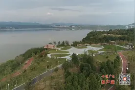秋日限定！十堰“粉黛花海”进入最佳观赏期图片