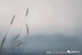 做一个脱离低级趣味的人图片
