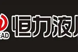 恒立液压（601100.SH）—— 液压界的“老戏骨”，画饼充饥的大师图片