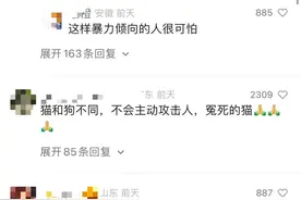 事发上海街头！女友逗猫被抓伤，男子寻主无果后将猫打死图片