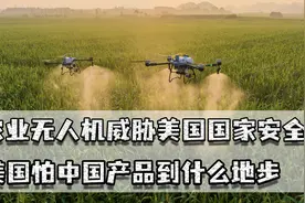 农用无人机威胁美国国家安全？为何怕中国产品？只会让消费者遭殃图片