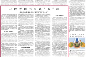 央媒、省媒报道！红河蓝莓再受关注→图片