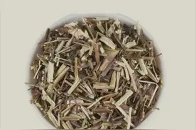 药师说中药（11）——荆芥图片