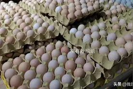 鸡蛋该不该放冰箱里，可惜好多人不懂，现在知道还不晚，受益一生图片