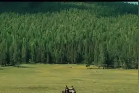 暑假旅游新选择，直飞阿勒泰！你准备好了吗？图片