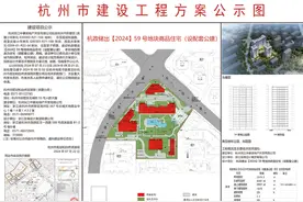 申花地王规划出炉！将建3幢住宅，户型面积200㎡以上图片