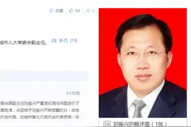 新闻背后：刘振兴被双开移送司法机关，他人生的倒下令人唏嘘不已图片