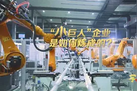 学习100｜“小巨人”企业是如何炼成的？图片