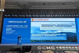 2024全国碳市场发展报告来了！湖北碳交易量长期居首图片
