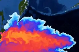 日本核污水排海，美国也是受害者，为什么“默许”日本这么干？图片