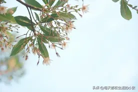 积累福气的十个习惯图片