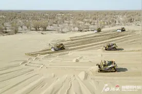 航拍新疆丨尉犁县：罗布麻助力防沙治沙，为塔克拉玛干沙漠“锁边”图片