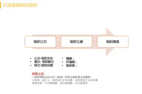 业务操盘手的心、脑、体图片